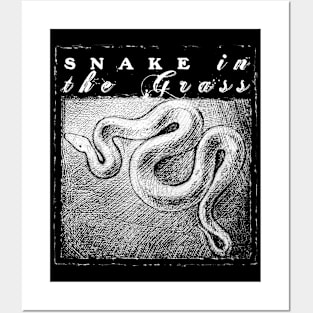 Snake In The Grass Posters and Art